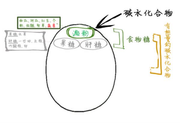 減肥必看！「醣」要怎麼吃才會瘦？ 