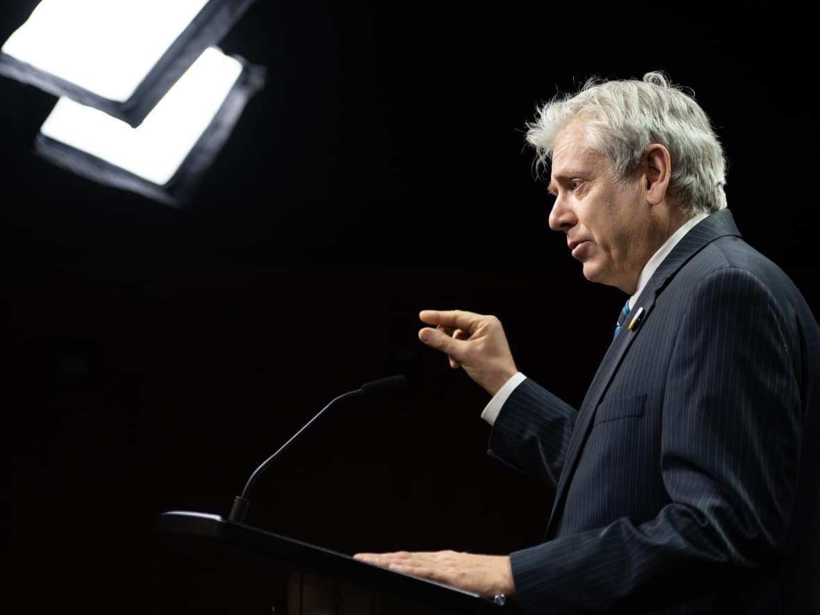 NDP Natural Resources critic Charlie Angus says he has concerns about Paper Excellence's decision to replace the board of Resolute Forest Products with a board dominated by Paper Excellence executives.  (Spencer Colby/The Canadian Press - image credit)