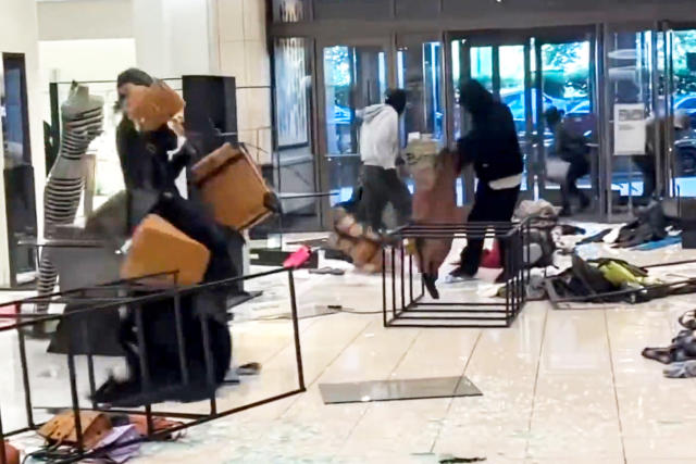Gang Of Thieves Swarms Louis Vuitton Store, Swipes $100,000+ In Handbags
