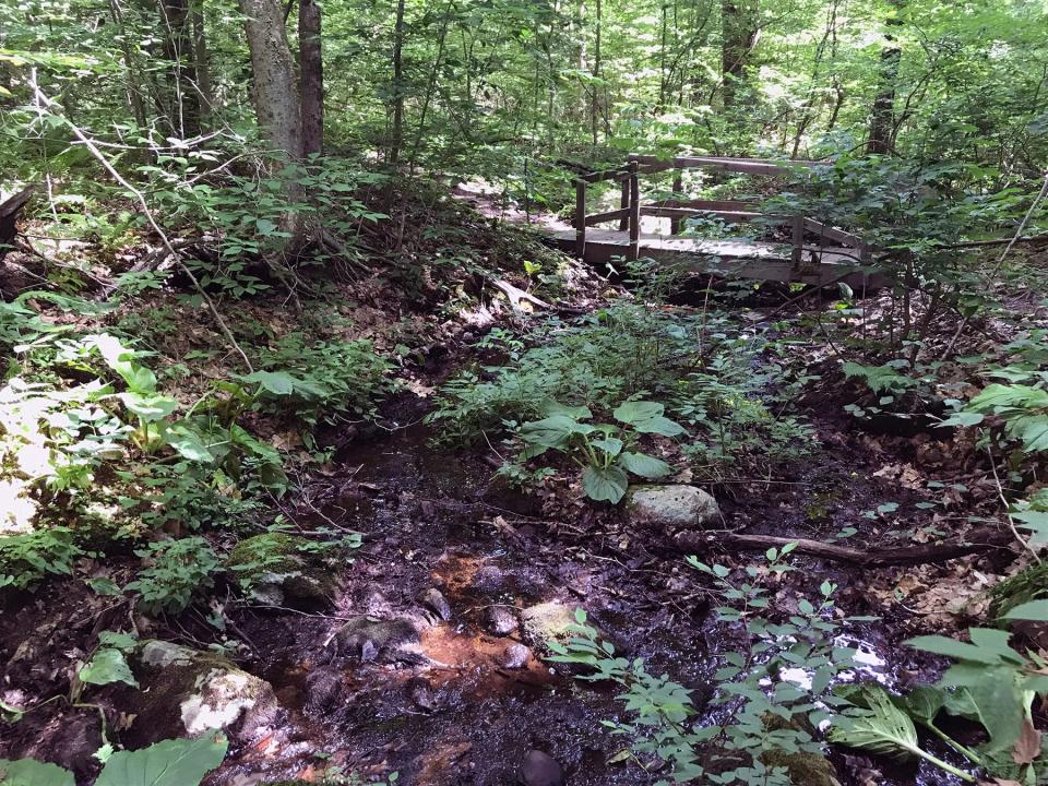 The red-blazed trail crosses a wooden bridge over a narrow, overgrown brook at Connors Farm Conservation Area in Smithfield.