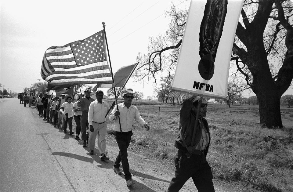 Grape pickers carry American flags and National Farm Workers Association banners as they march along a road