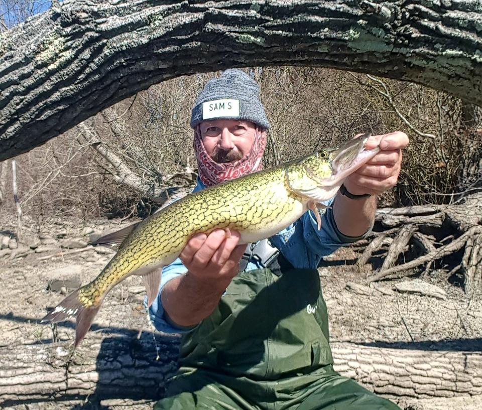 John Migliori with a 25.5-inch pickerel he caught recently on Aquidneck Island.