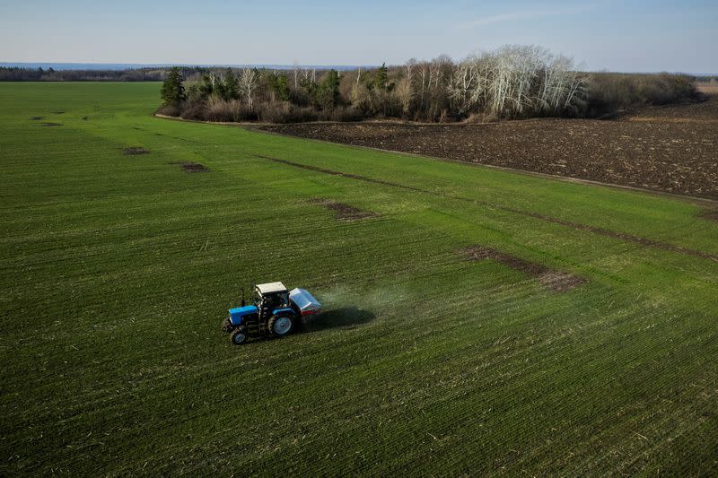 Un tractor esparciendo fertilizante en un campo de trigo cerca de la aldea de Yakovlivka