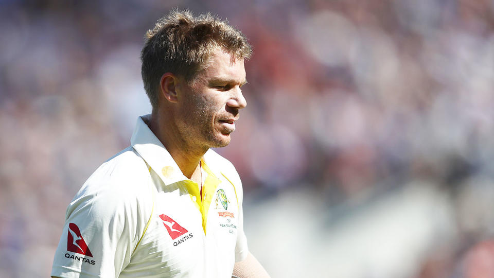 David Warner has struggled in the Ashes series in England. 