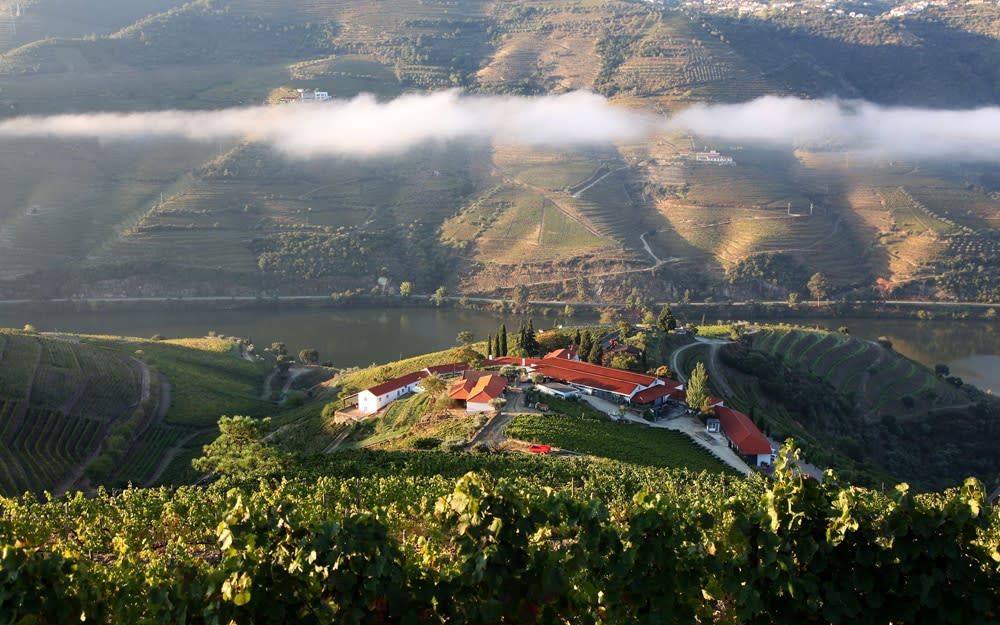 Quinta Nova de Nossa Senhora do Carmo sits in a magnificent setting, high up above the Douro River.