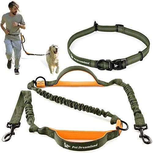4) Pet Dreamland Hands Free Leash for Running