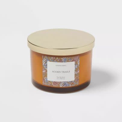 Threshold Acorn Trails scented jar candle