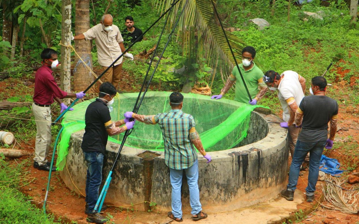 Officials with gloves and masks inspect a well to catch bats in the state of Kerala - AFP