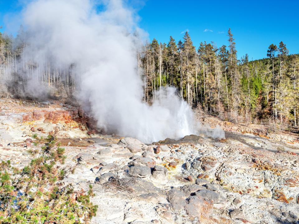 Steamboat Geyser as it erupts in Yellowstone National Park.