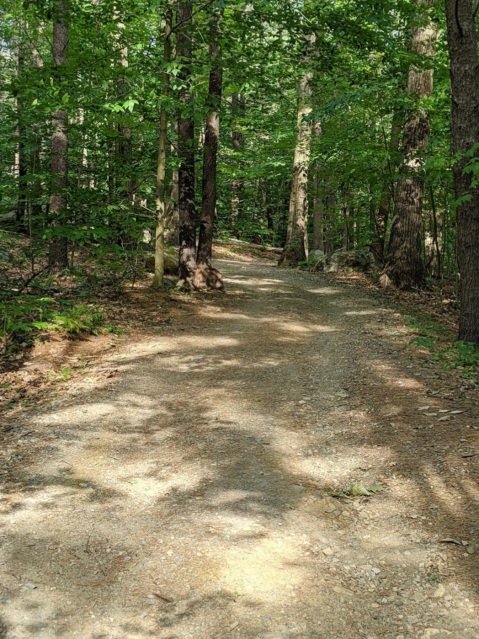 The Woodland Trail at Dunn State Park in Gardner is accessible to wheelchairs and strollers thanks to its packed stone dust surface.