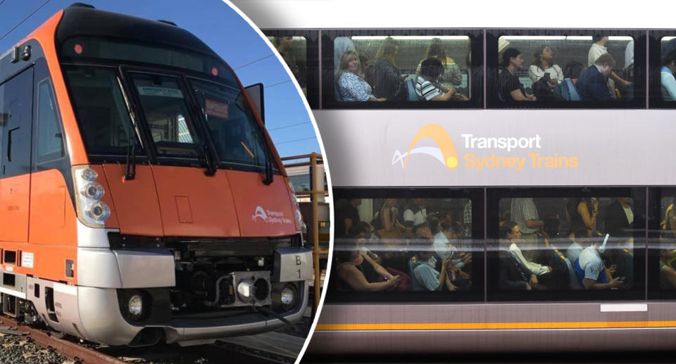 Train announcements are heard on every Sydney train.