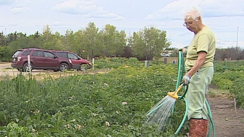 'The damage is done': Home electricity boxes igniting in Sask. drought