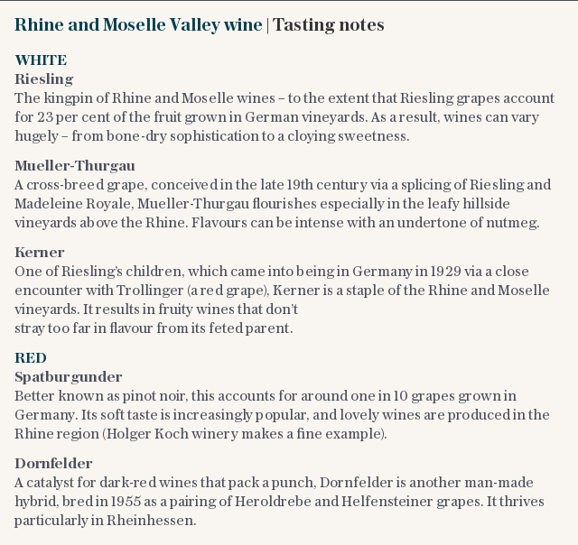 Rhine and Moselle Valley wine | Tasting notes