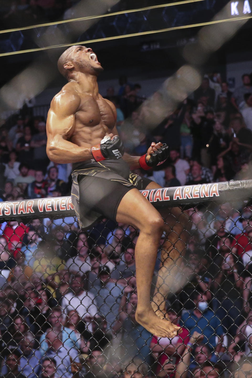 Kamaru Usman celebrates his win, atop the octagon fence, after a UFC 261 mixed martial arts bout against Jorge Masvidal early Sunday, April 25, 2021, in Jacksonville, Fla. (AP Photo/Gary McCullough)