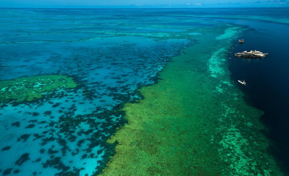 Plibersek said the mine posed unacceptable risks to the Great Barrier Reef. Shutterstock