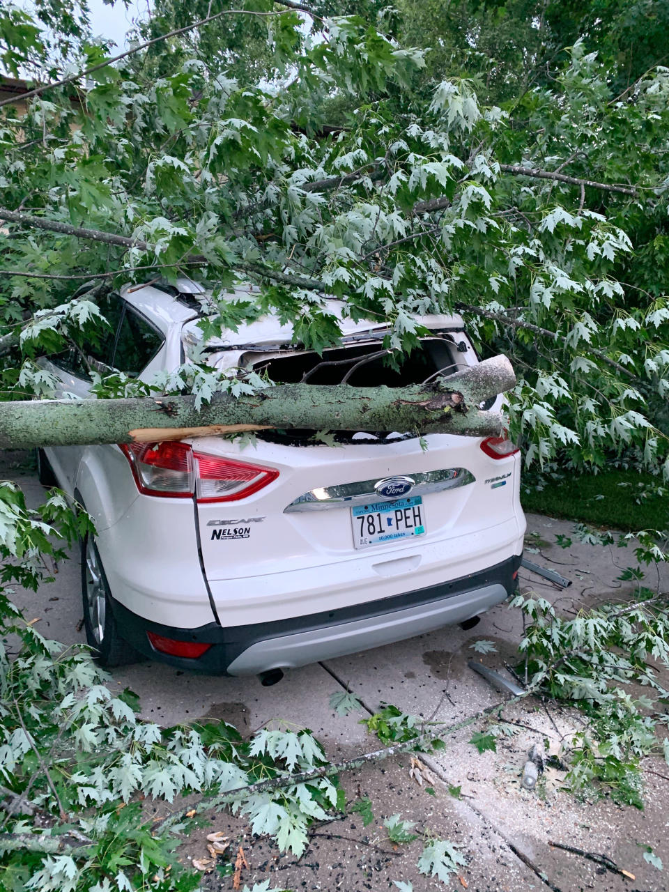 In this image provided by Kathy Long VanVoorhis, a large tree rests on top of a car, Thursday, July 9, 2020, in Fergus Falls, Minn., following a severe storm the day before. (Kathy Long VanVoorhis via AP)