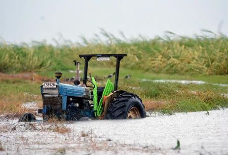 A tractor sits in a flooded sugar cane field after Cyclone Debbie passed through the area near the northern Australian town of Bowen, located south of Townsville in Australia, March 29, 2017. AAP/Sarah Motherwell/via REUTERS