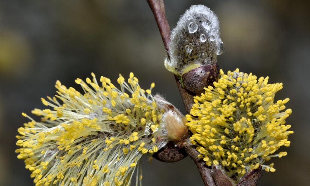 <span>Photograph: Ian Redding/Alamy</span>