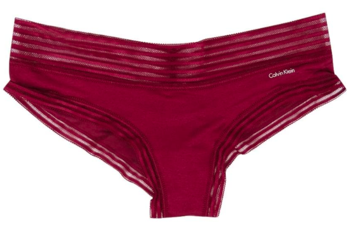 Calvin Klein Women's Modal Bikini Panty