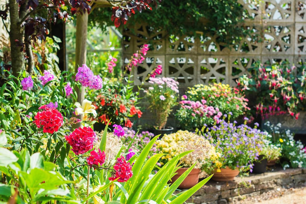 Flower garden in backyard