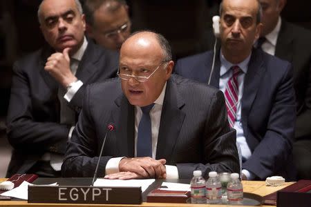 Egyptian Foreign Minister Sameh Shoukry speaks during a United Nations Security Council meeting about the situation in Libya in the Manhattan borough of New York February 18, 2015. REUTERS/Carlo Allegri