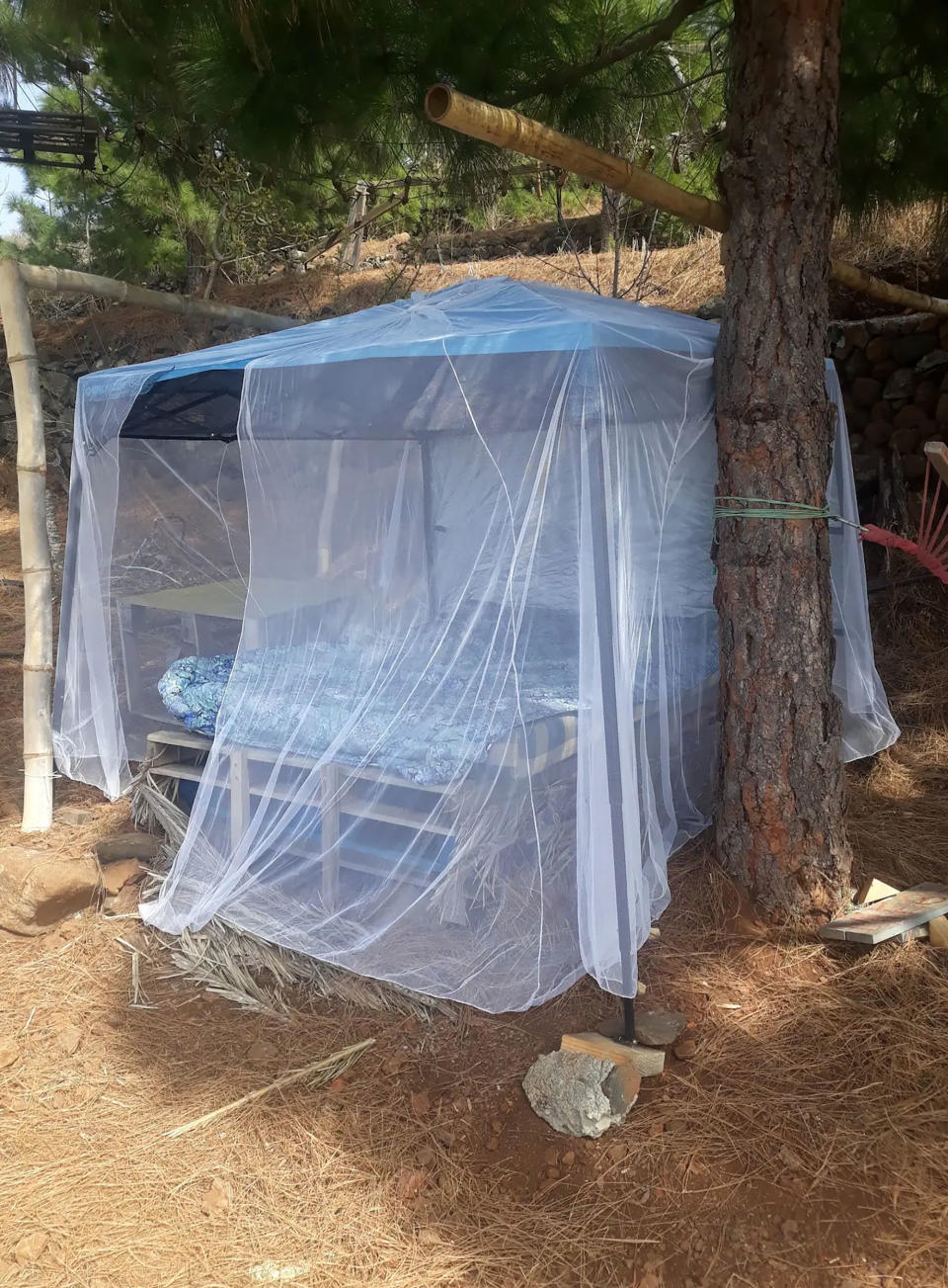 The Airbnb pallet bed with mosquito net and pop up roof. 