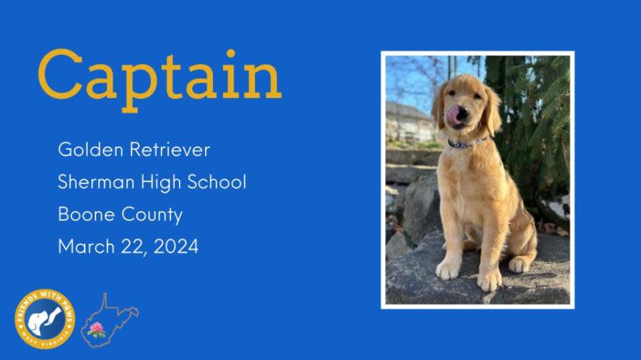 Captain – Boone County Sherman High School Therapy Dog – Photo Courtesy: First Lady Cathy Justice
