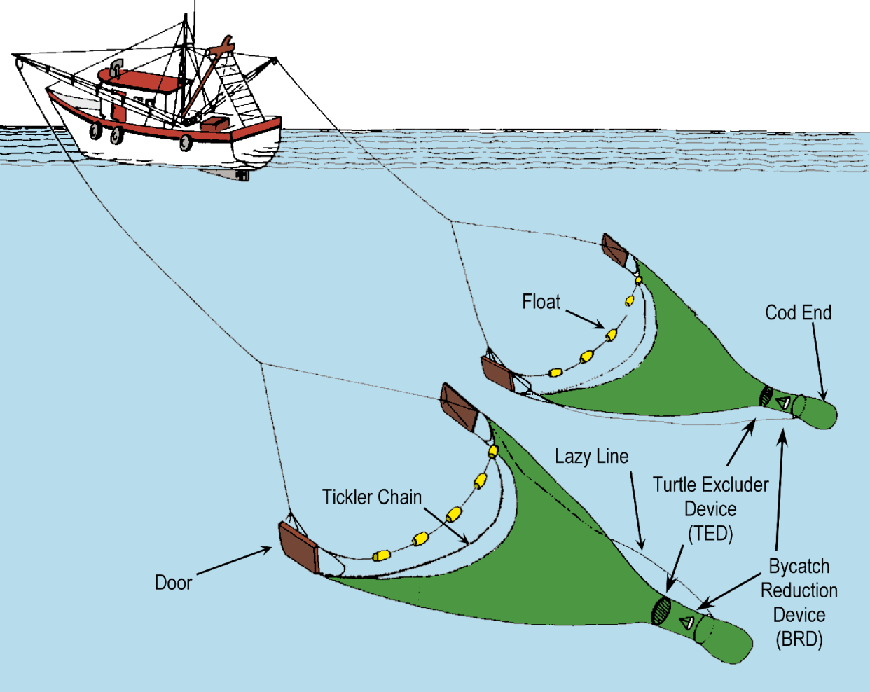 The schematic illustrates how a normal double rig system looks when it is deployed to catch shrimp and release any other sea life caught inadvertently.