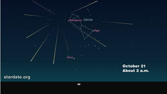 This year’s best viewing will be in the several hours around midnight October 20 and before dawn on October 21, according to the editors of <i>StarDate</i> magazine.