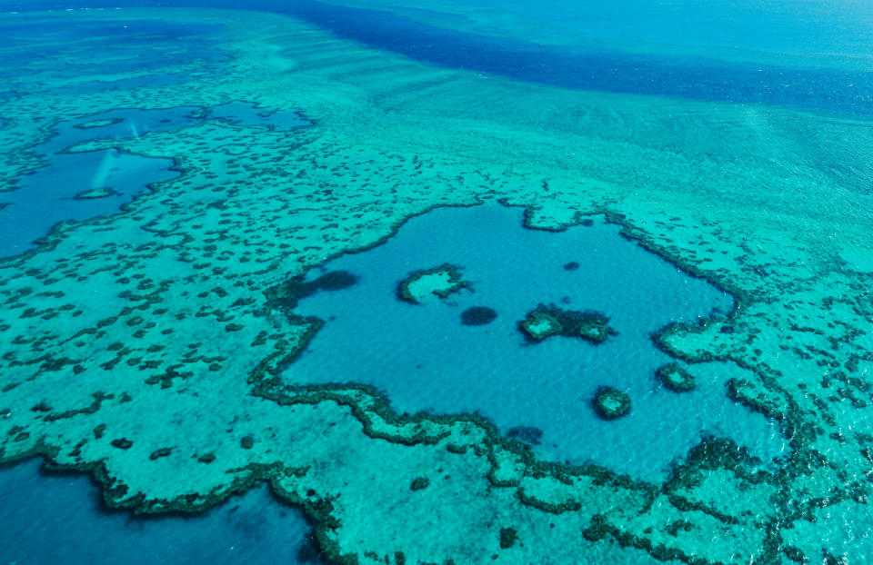 L’Australie met la barr(ièr)e très haut