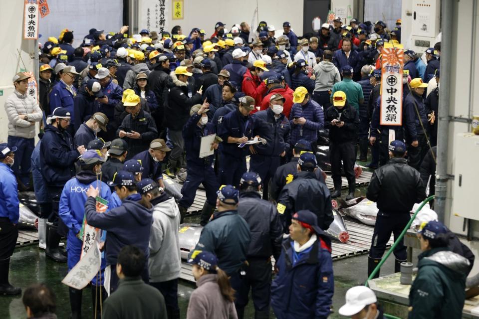 日本東京豊洲市場1月5日舉行新年黑鮪魚初拍，來自青森縣大間港、重238公斤的黑鮪魚以1億1424萬日圓（約2400萬元台幣）成交。彭博新聞