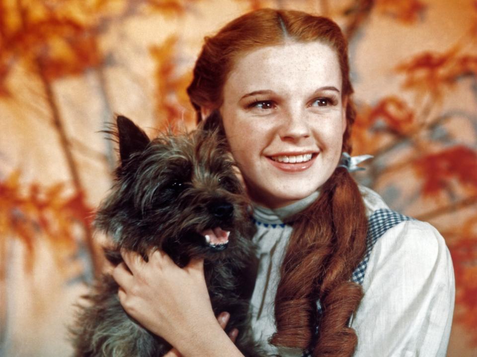 Judy Garland as Dorothy in “The Wizard of Oz”