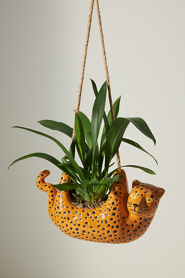 <p><a href="https://go.redirectingat.com?id=74968X1596630&url=https%3A%2F%2Fwww.anthropologie.com%2Fshop%2Fcheetah-hanging-planter&sref=https%3A%2F%2Fwww.veranda.com%2Fshopping%2Fgarden-products%2Fg60641255%2Fbest-indoor-hanging-planters%2F" rel="nofollow noopener" target="_blank" data-ylk="slk:Shop Now;elm:context_link;itc:0;sec:content-canvas" class="link ">Shop Now</a></p><p>Cheetah Hanging Planter</p><p>anthropologie.com</p><p>$42.00</p><span class="copyright">Anthropologie</span>