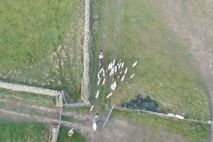 The Berwickshire Hunt filmed at Abbey Saint Bathans