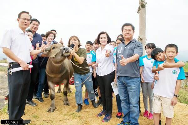 用創意與活力整合青年與學校能量，宜蘭縣政府推動壯圍鄉地方創生有成。縣長林姿妙參與大福國小學生牛耕課程。（圖：縣府提供）