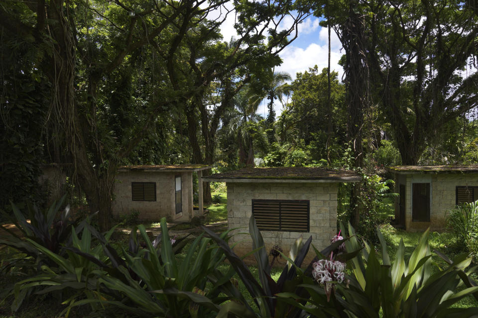 The monks of Kauai's Hindu Monastery sleep in 10-by-10 huts in the woods, July 9, 2023, in Kapaa, Hawaii. Their day begins at 4 a.m. with temple worship and guided mediation. And during the day, they perform different tasks that are either assigned or for which they volunteer. (AP Photo/Jessie Wardarski)