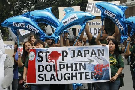 Activists hold dolphin-shaped balloons and banners urging the Japanese government to end dolphin killings, during a protest in front of the Japanese embassy in Manila September 2, 2013. REUTERS/Romeo Ranoco