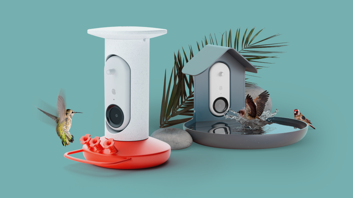 Birdwatching tech startup Bird Buddy introduces an AI-powered Smart Hummingbird Feeder and Bird Bath