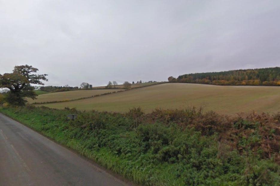 The plane crashed in a field in the village of Stonor (file image): Google Street View
