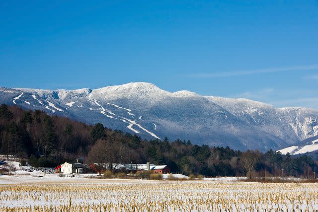 <p>capecodphoto/Getty Images</p>