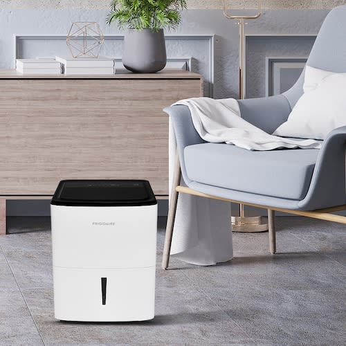 <p><a href="https://www.frigidaire.com/en/p/home-comfort/dehumidifiers/FFAD5033W1" rel="nofollow noopener" target="_blank" data-ylk="slk:Shop Now;elm:context_link;itc:0;sec:content-canvas" class="link rapid-noclick-resp">Shop Now</a></p><p>High Humidity 50-Pint Capacity Dehumidifier</p><p>frigidaire.com</p><p>$249.00</p>