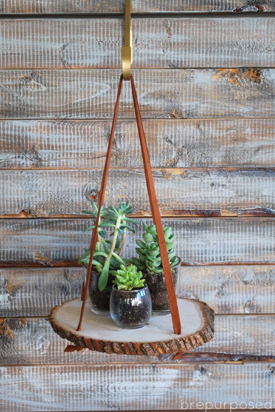 Hanging Wood Slice Plant Stand