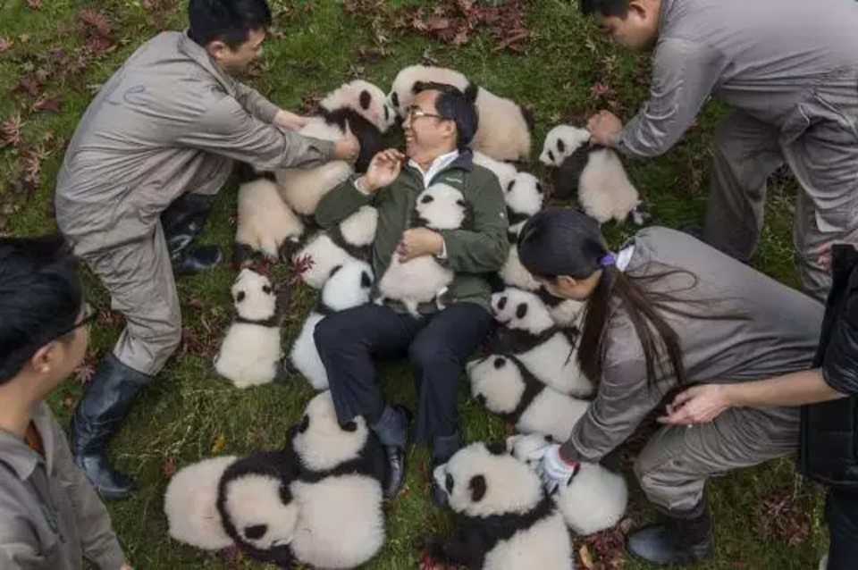 以動物數量的增加為指標的結果，是「域外保育」被簡化為「圈養繁殖」。（圖片來源：作者提供）