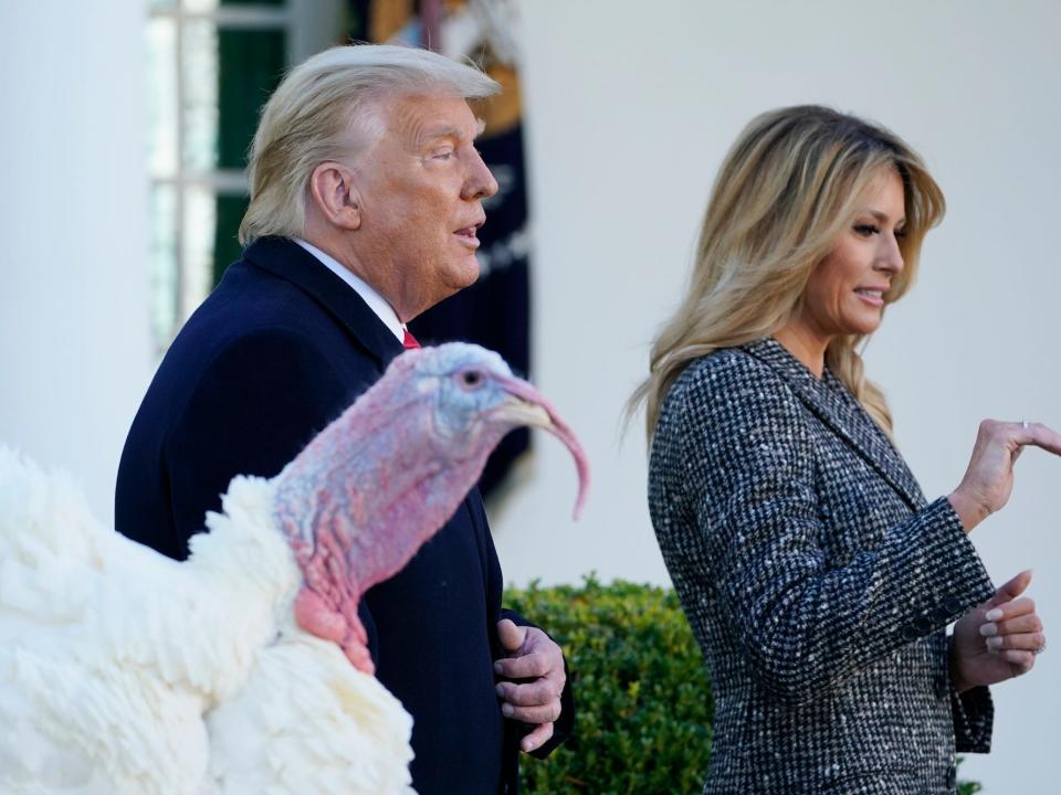 Trump turkey