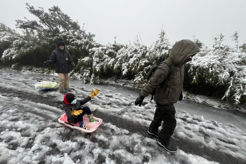 寒流發威，陽明山23日清晨出現雨夾雪、大屯山已有降雪情形，有民眾一早就帶著小朋友前往大屯山玩雪橇。（中央社）