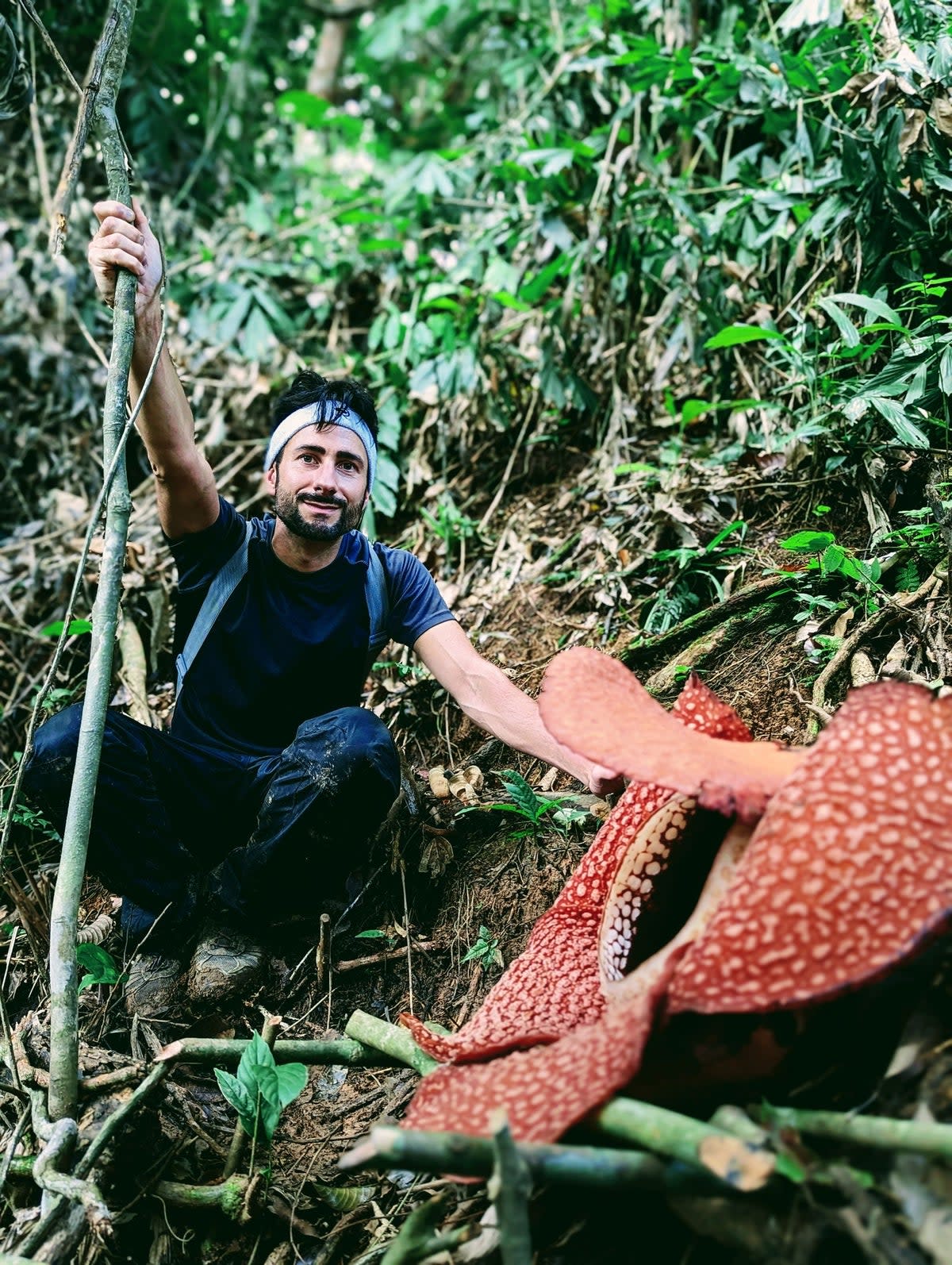 Chris Thorogood with Rafflesia arnoldii, the largest flower in the world (Chris Thorogood)