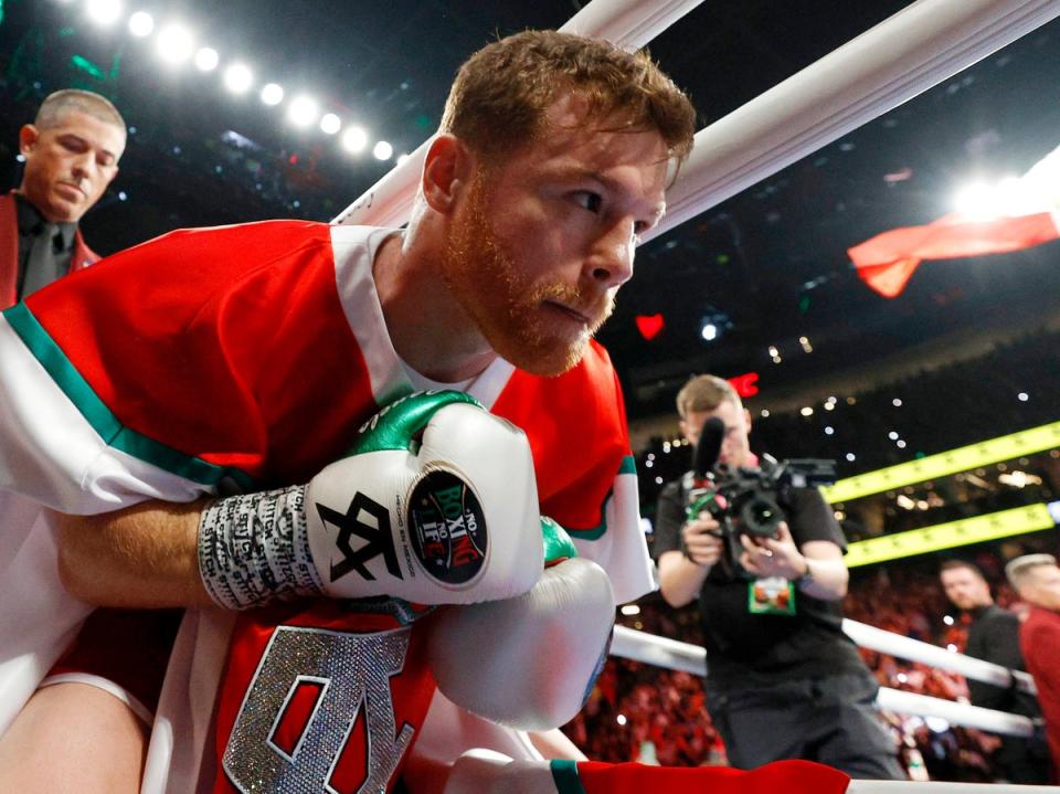 Canelo will be fighting in his home country of Mexico for the first time since 2011 (Getty)