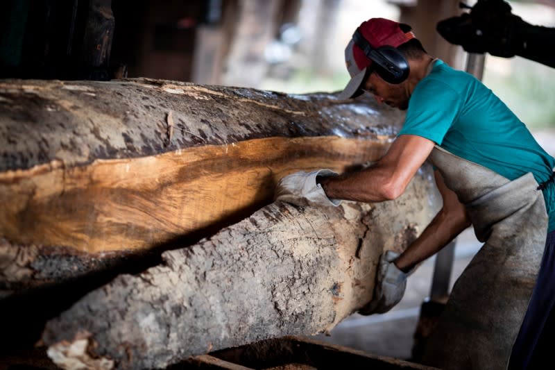 A sawmill worker processes trees extracted from the Amazon rainforest near Humaita