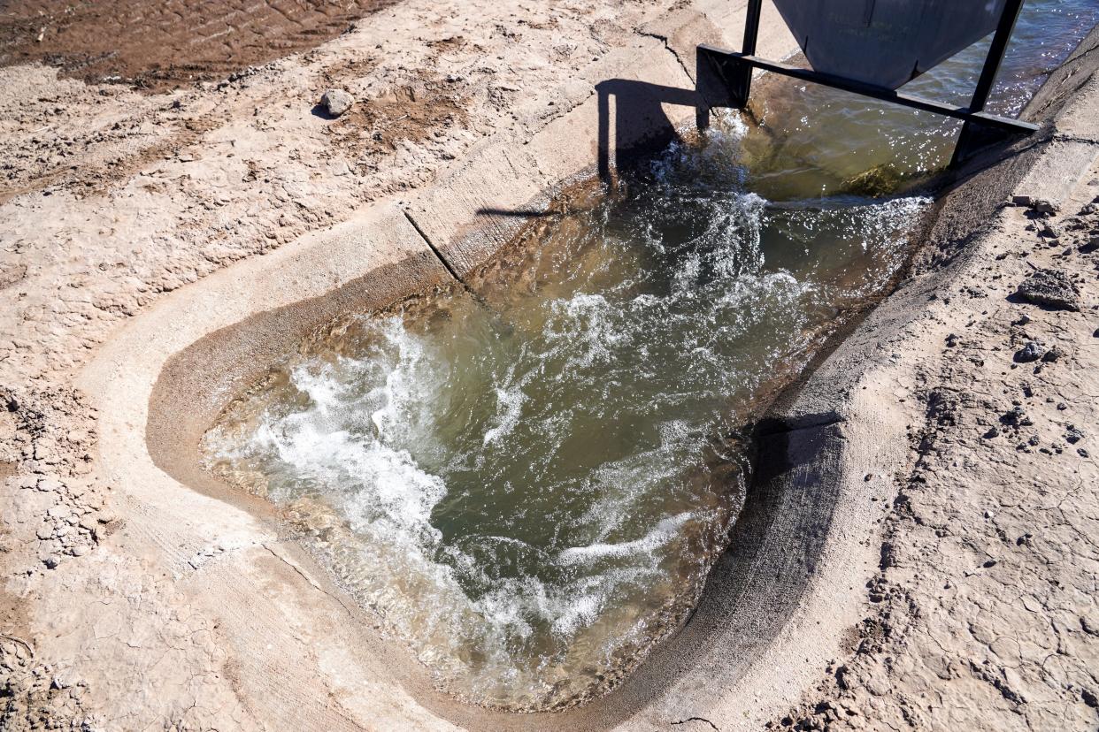 Water from the Casa Grande Canal is used to irrigate an alfalfa crop at Ramona Farms in Sacaton in the Gila River Indian Community on February 9, 2022.