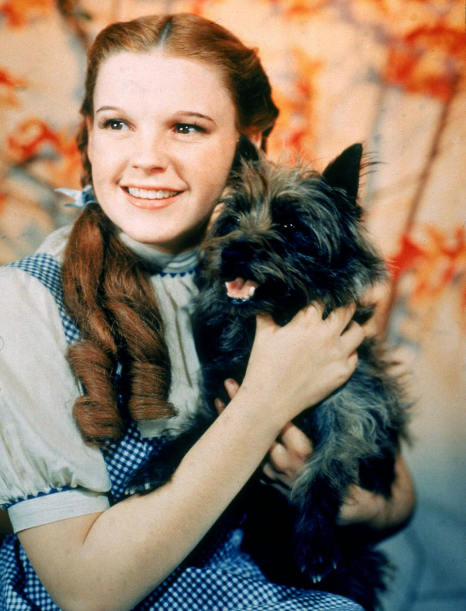 Judy Garland as Dorothy in 